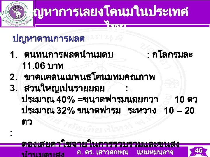 ปญหาการเลยงโคนมในประเทศ ไทย ปญหาดานการผลต 1. ตนทนการผลตนำนมดบ : กโลกรมละ 11. 06 บาท 2. ขาดแคลนแมพนธโคนมทมคณภาพ 3. สวนใหญเปนรายยอย