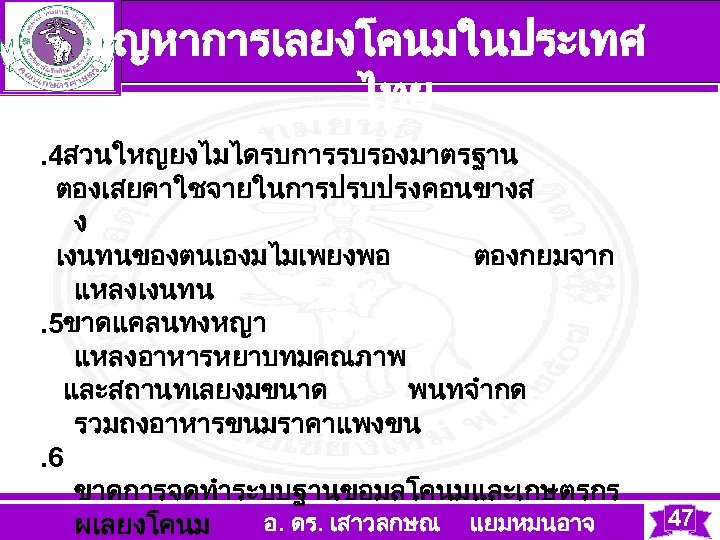 ปญหาการเลยงโคนมในประเทศ ไทย . 4สวนใหญยงไมไดรบการรบรองมาตรฐาน ตองเสยคาใชจายในการปรบปรงคอนขางส ง เงนทนของตนเองมไมเพยงพอ ตองกยมจาก แหลงเงนทน . 5ขาดแคลนทงหญา แหลงอาหารหยาบทมคณภาพ และสถานทเลยงมขนาด พนทจำกด