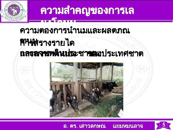 ความสำคญของการเล ยงโคนม ความตองการนำนมและผลตภณ ฑนม การสรางรายได และอาชพใหประชาชน การพงพาตนเอง ของประเทศชาต อ. ดร. เสาวลกษณ แยมหมนอาจ 5 
