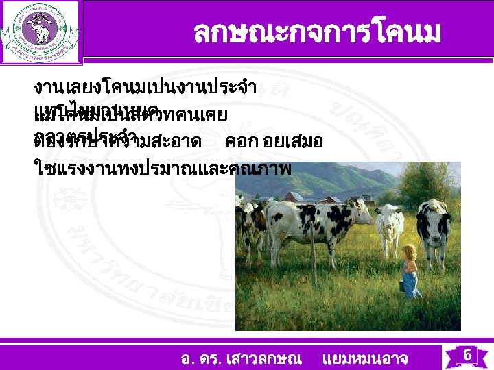 ลกษณะกจการโคนม งานเลยงโคนมเปนงานประจำ แทบไมมวนหยด แมโคนมเปนสตวทคนเคย กจวตรประจำ ตองรกษาความสะอาด คอก อยเสมอ ใชแรงงานทงปรมาณและคณภาพ อ. ดร. เสาวลกษณ แยมหมนอาจ 6