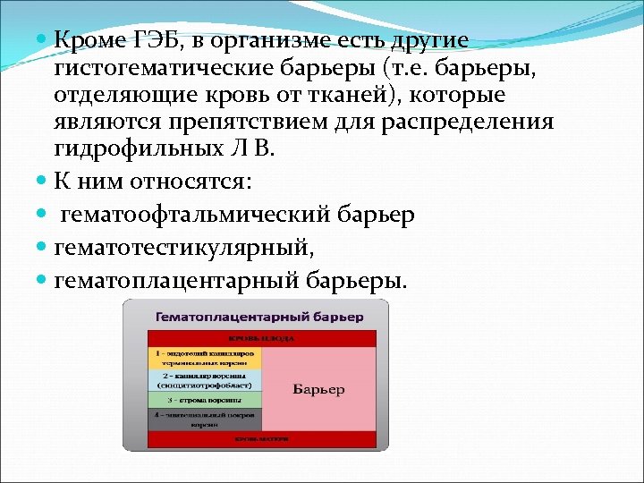  Кроме ГЭБ, в организме есть другие гистогематические барьеры (т. е. барьеры, отделяющие кровь