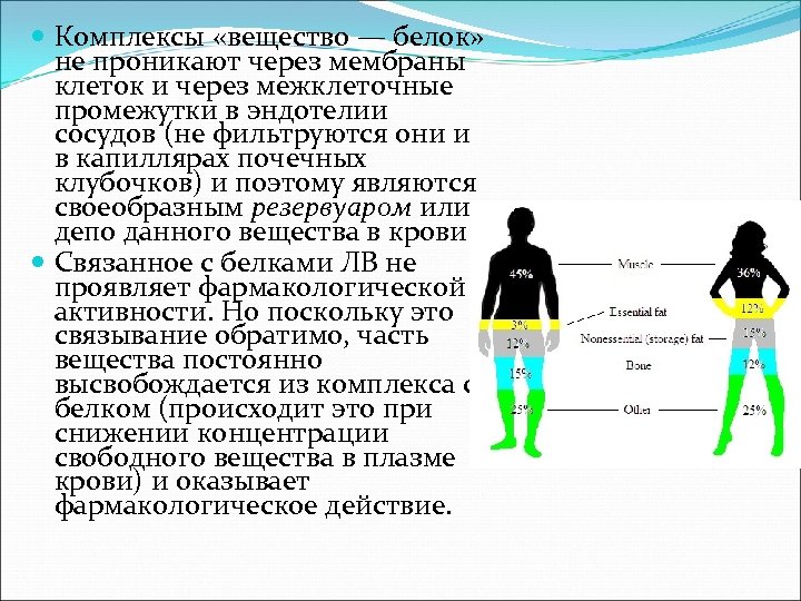  Комплексы «вещество — белок» не проникают через мембраны клеток и через межклеточные промежутки