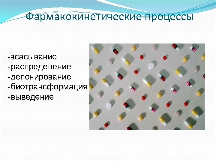 Фармакокинетические процессы -всасывание -распределение -депонирование -биотрансформация -выведение 