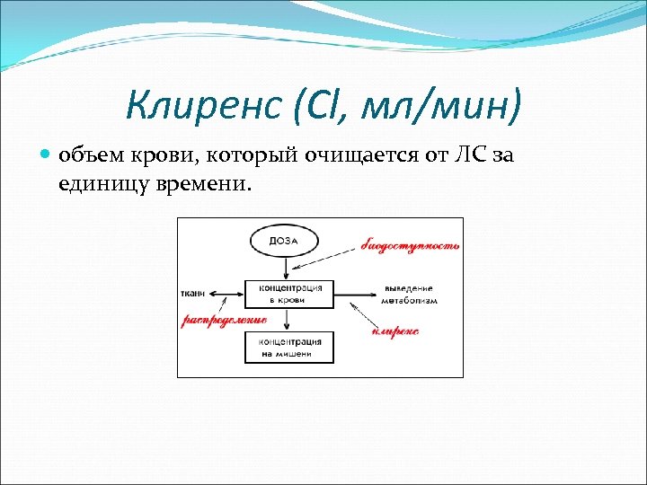Клиренс (Cl, мл/мин) объем крови, который очищается от ЛС за единицу времени. 