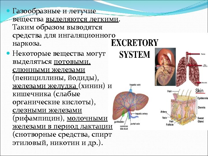 Вещества выделяющие. Газообразные и летучие вещества. Газообразные вещества выделяются преимущественно. Газообразные вещества влияние на организм. Какие вещества выделяются из лёгких.