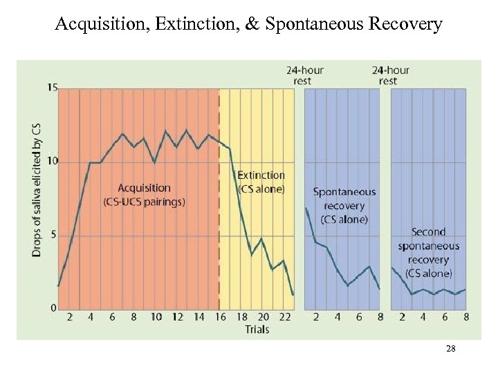 Acquisition, Extinction, & Spontaneous Recovery 28 