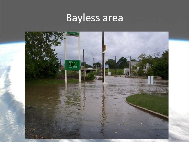 Bayless area 