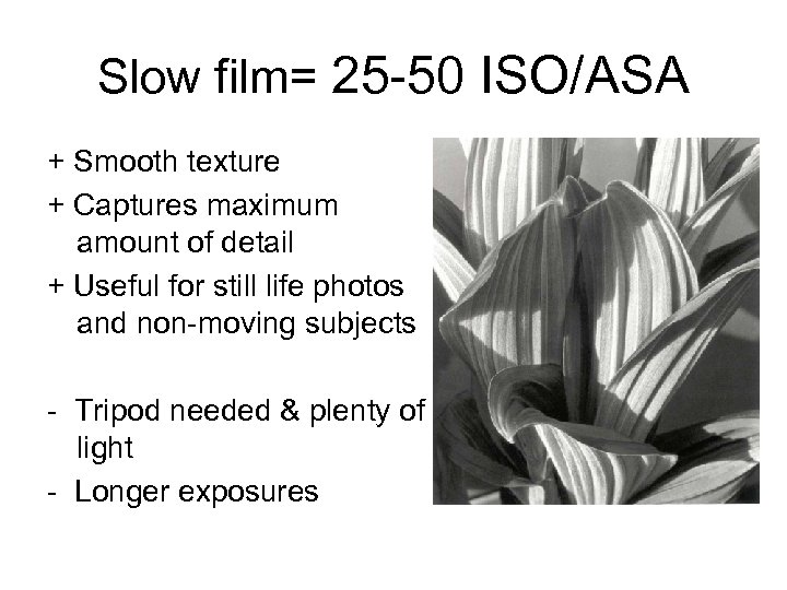Slow film= 25 -50 ISO/ASA + Smooth texture + Captures maximum amount of detail