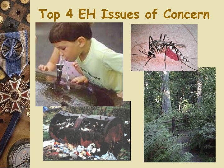 Top 4 EH Issues of Concern 