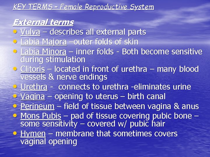 KEY TERMS – Female Reproductive System External terms • Vulva – describes all external