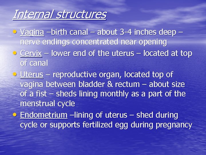 Internal structures • Vagina –birth canal – about 3 -4 inches deep – •