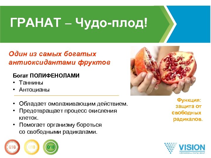 ГРАНАТ – Чудо-плод! Один из самых богатых антиоксидантами фруктов Богат ПОЛИФЕНОЛАМИ • Таннины •