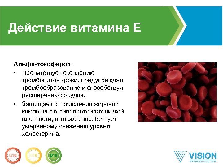 Действие витамина E Альфа-токоферол: • Препятствует скоплению тромбоцитов крови, предупреждая тромбообразование и способствуя расширению