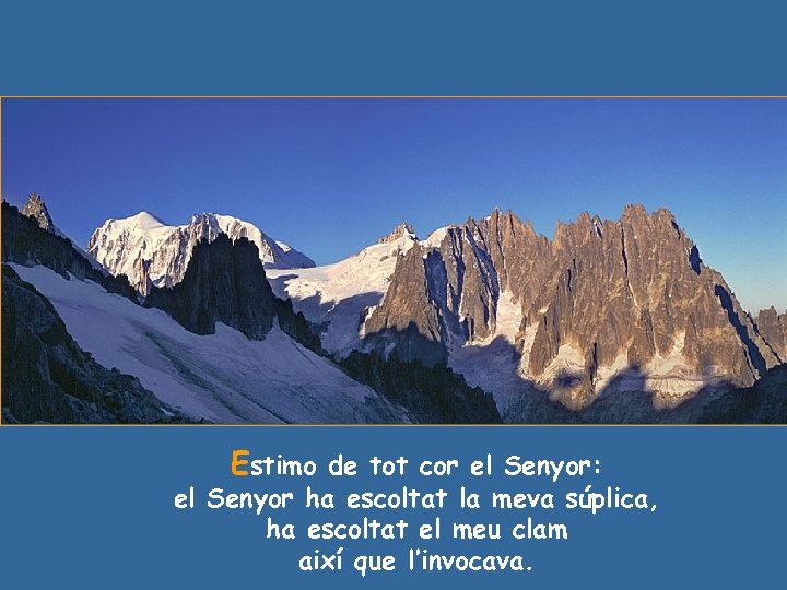 Estimo de tot cor el Senyor: el Senyor ha escoltat la meva súplica, ha