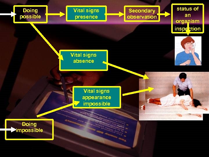 Doing possible Vital signs presence Vital signs absence Vital signs appearance impossible Doing impossible