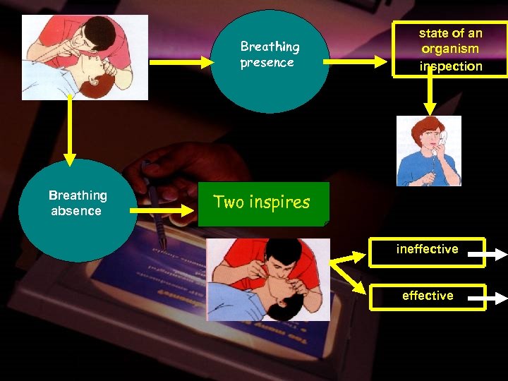 Breathing presence Дихання присутнє Breathing absence state of an organism inspection Two inspires ineffective