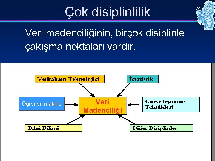 Çok disiplinlilik Veri madenciliğinin, birçok disiplinle çakışma noktaları vardır. Öğrenen makine Veri Madenciliği İTÜ