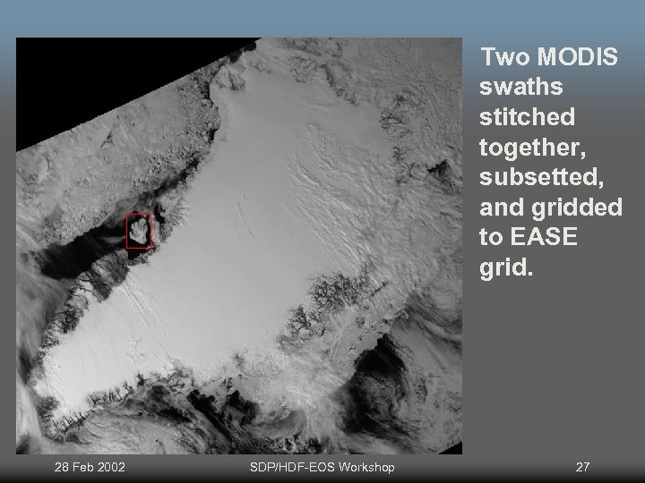 Two MODIS swaths stitched together, subsetted, and gridded to EASE grid. 28 Feb 2002