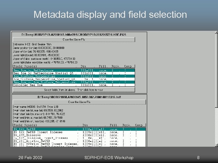 Metadata display and field selection 28 Feb 2002 SDP/HDF-EOS Workshop 8 