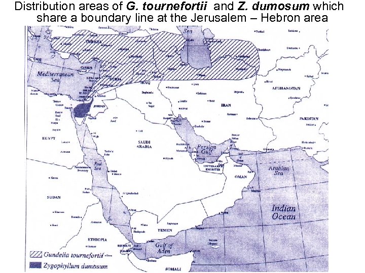 Distribution areas of G. tournefortii and Z. dumosum which share a boundary line at