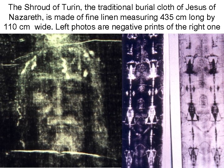 Avinoam Danin © The Shroud of Turin, the traditional burial cloth of Jesus of