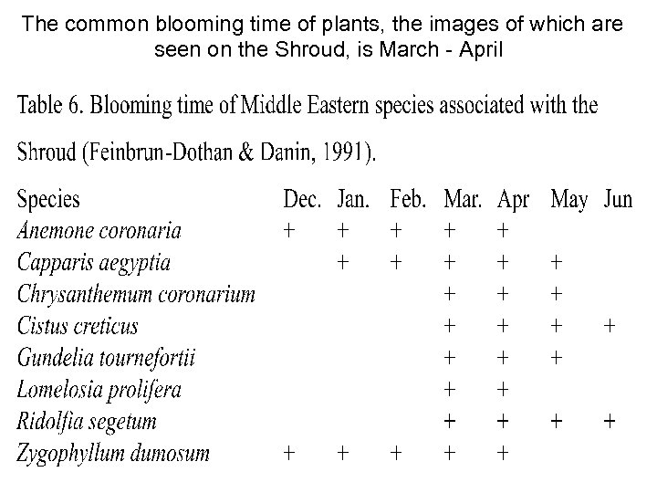 Avinoam Danin © The common blooming time of plants, the images of which are