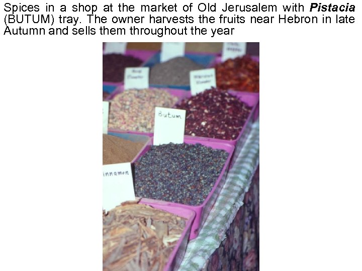 Avinoam Danin © Spices in a shop at the market of Old Jerusalem with