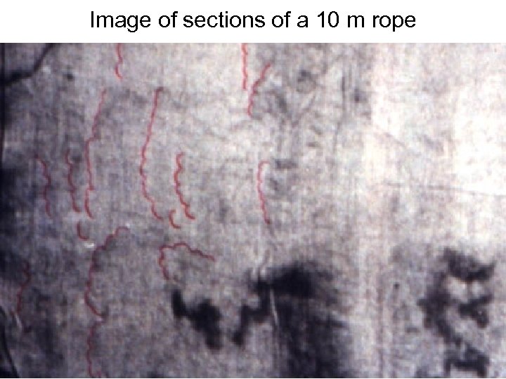 Avinoam Danin © Image of sections of a 10 m rope 