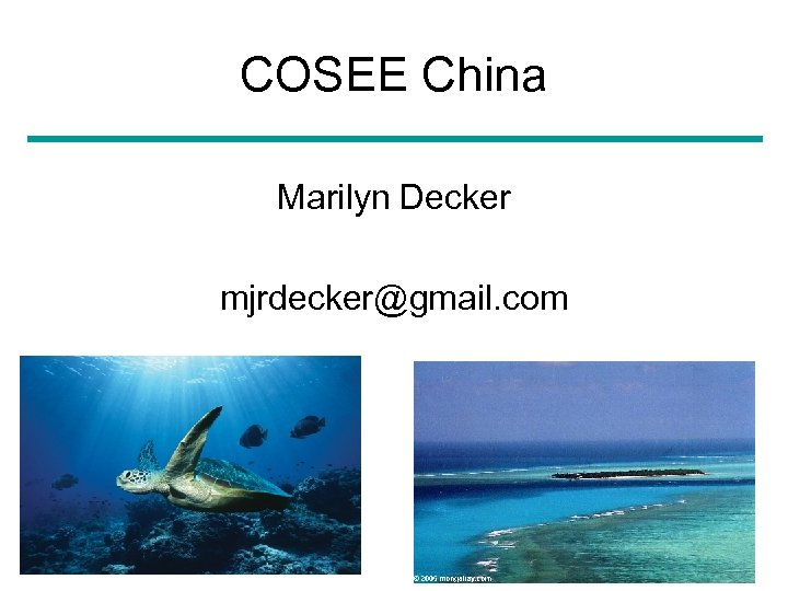 COSEE China Marilyn Decker mjrdecker@gmail. com March 8, 2010 24 