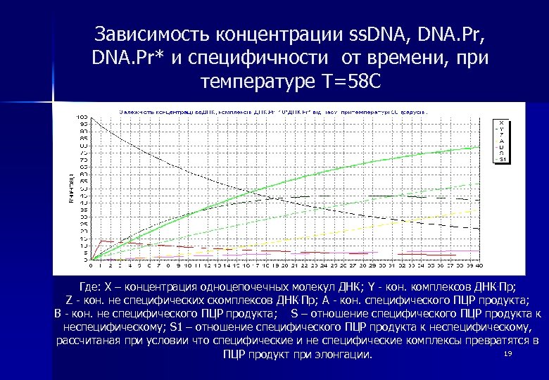 Зависимость концентрации ss. DNA, DNA. Pr* и специфичности от времени, при температуре T=58 С
