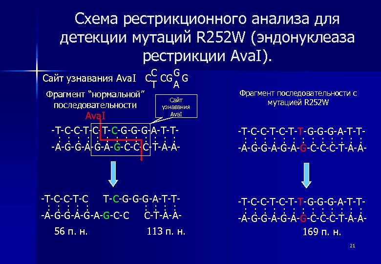 Схема рестрикционного анализа для детекции мутаций R 252 W (эндонуклеаза рестрикции Ava. I). Ava.