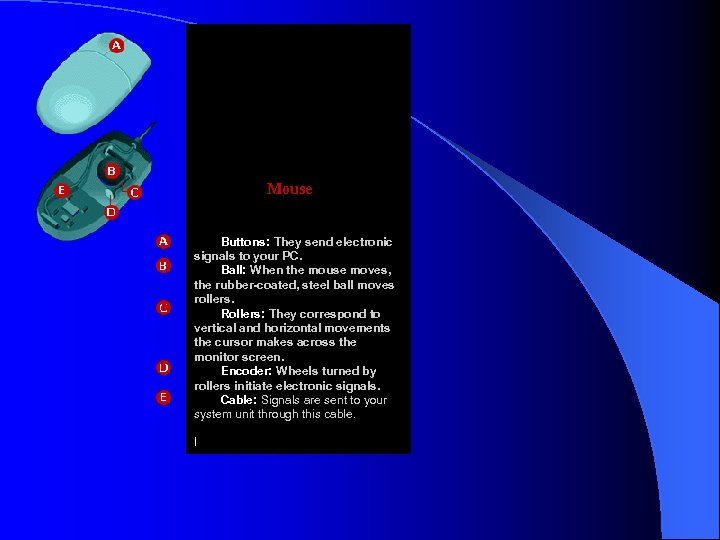  Mouse Buttons: They send electronic signals to your PC. Ball: When the mouse