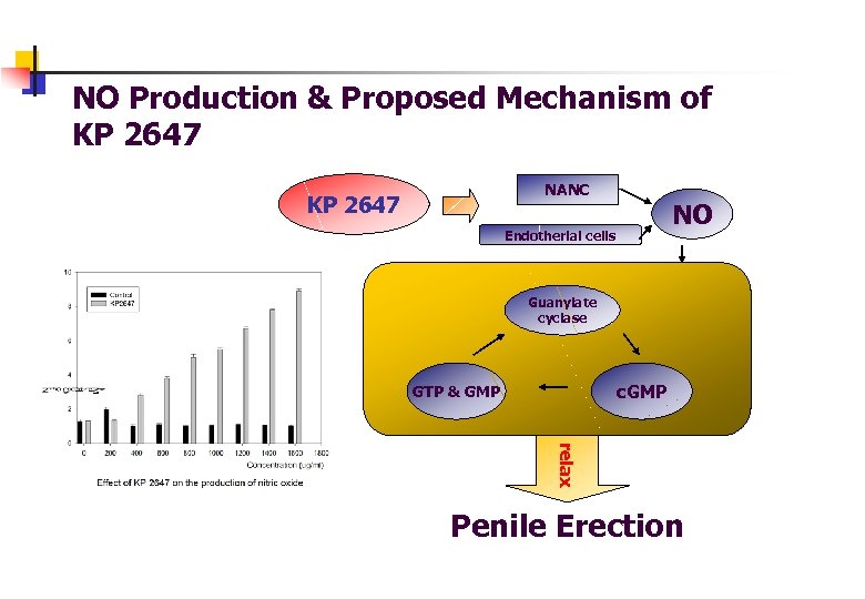 NO Production & Proposed Mechanism of KP 2647 NANC KP 2647 NO Endotherial cells