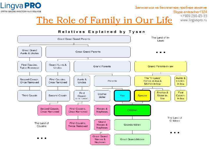 Записаться на бесплатное пробное занятие Skype enteacher 1324 +7909 -290 -03 -33 www. lingvapro.
