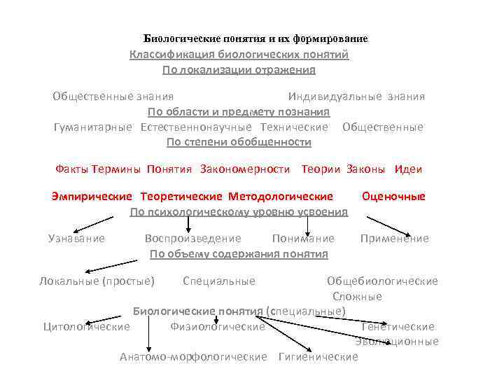 В тексте описана классификация биологических ритмов на основе текста заполни схему