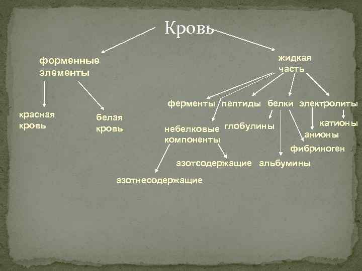 Кровь жидкая часть форменные элементы ферменты пептиды белки электролиты красная кровь белая кровь небелковые