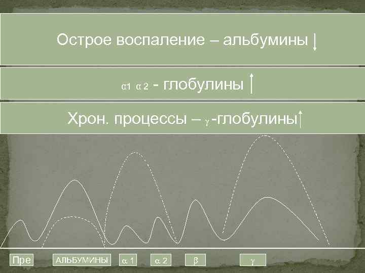 Острое воспаление – альбумины α 1 α 2 - глобулины Хрон. процессы – -глобулины