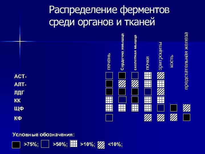 АЛТЛДГ КК ЩФ КФ Условные обозначения: >75%; >50%; >10%; <10%; кость эритроциты почки предстательная