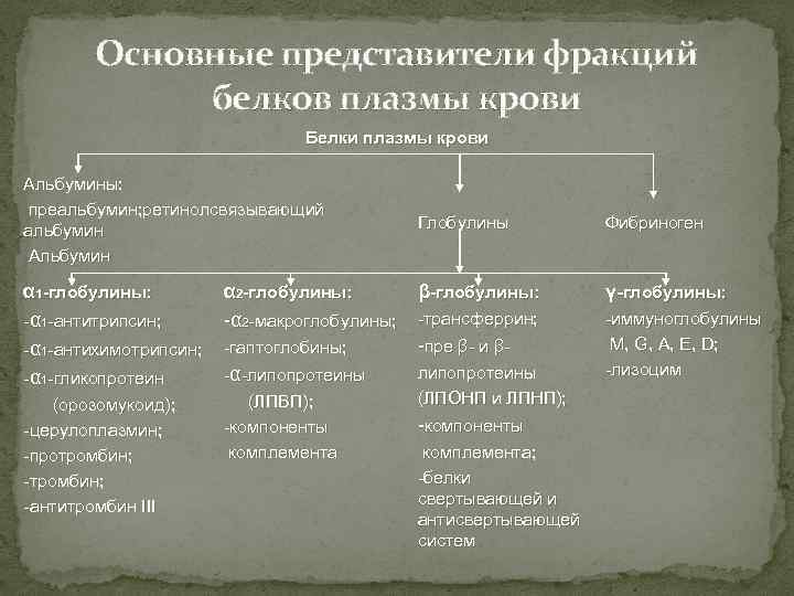 Основные представители фракций белков плазмы крови Белки плазмы крови Альбумины: -преальбумин; ретинолсвязывающий альбумин -Альбумин