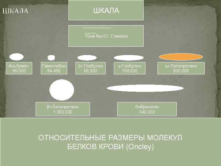 ШКАЛА 10 нм Na+Cr Глюкоза Альбумин 69. 000 Гемоглобин 64. 450 1 -Глобулин 90.