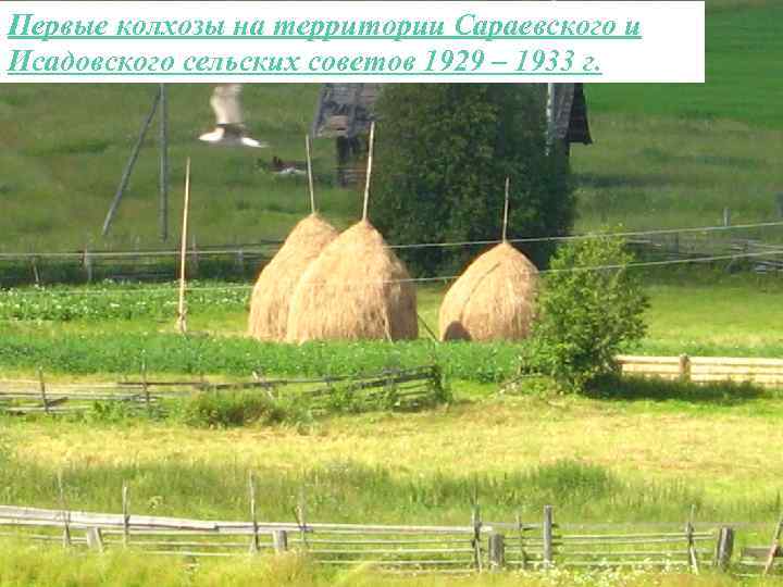 Первые колхозы на территории Сараевского и Исадовского сельских советов 1929 – 1933 г. 