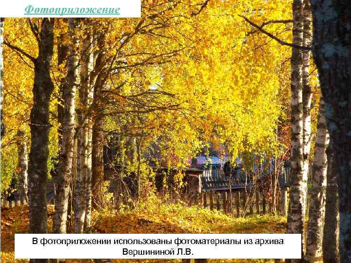 Фотоприложение В фотоприложении использованы фотоматериалы из архива Вершининой Л. В. 