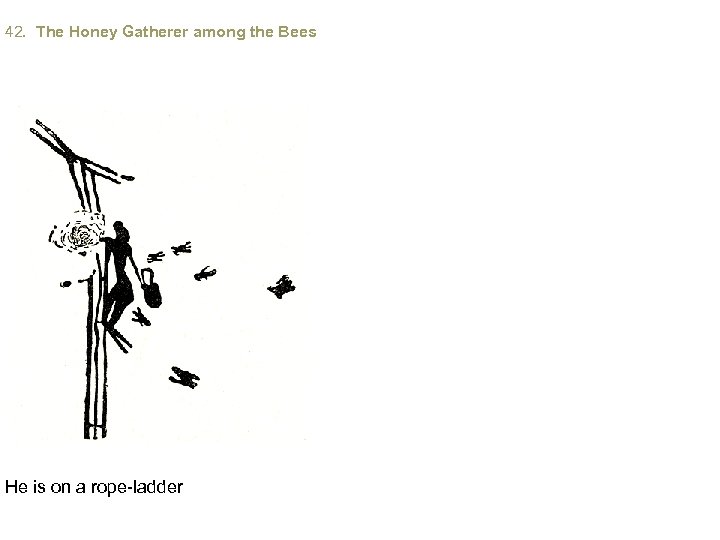 42. The Honey Gatherer among the Bees He is on a rope-ladder 
