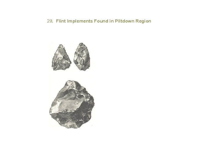 29. Flint Implements Found in Piltdown Region 