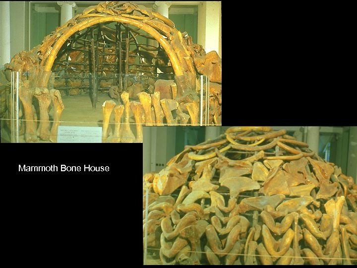 Mammoth Bone House 