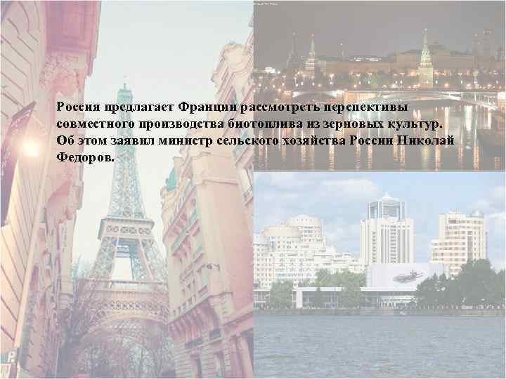 Россия предлагает Франции рассмотреть перспективы совместного производства биотоплива из зерновых культур. Об этом заявил