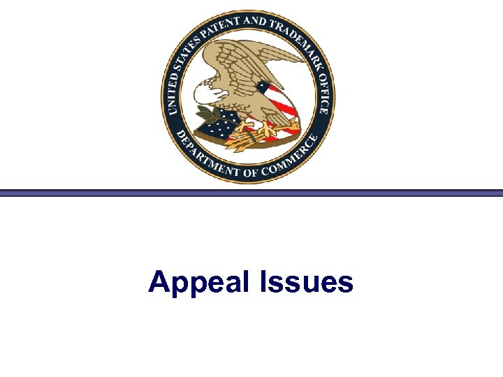 Appeal Issues 