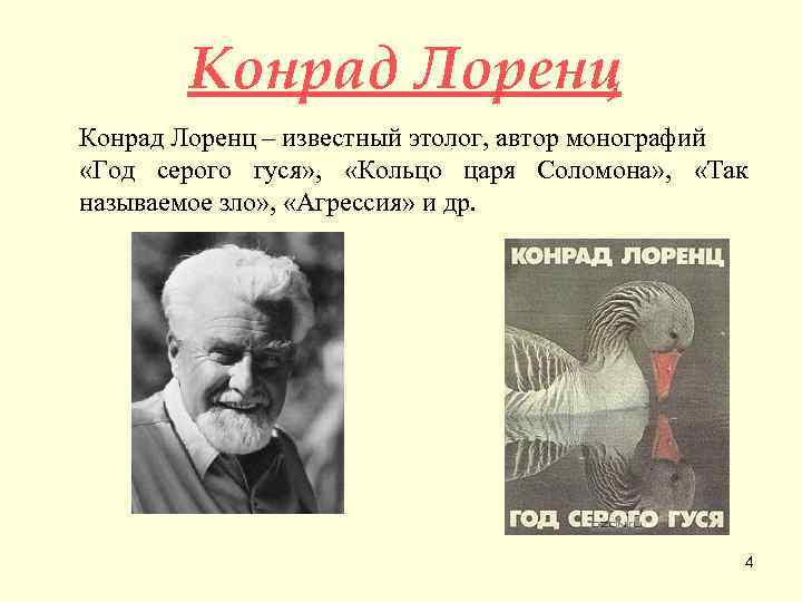 Конрад Лоренц – известный этолог, автор монографий «Год серого гуся» , «Кольцо царя Соломона»