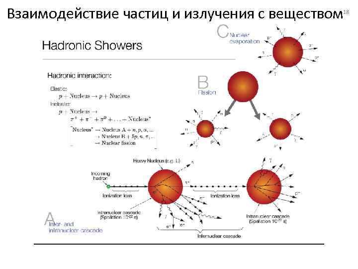 Взаимодействие частиц и излучения с веществом 18 