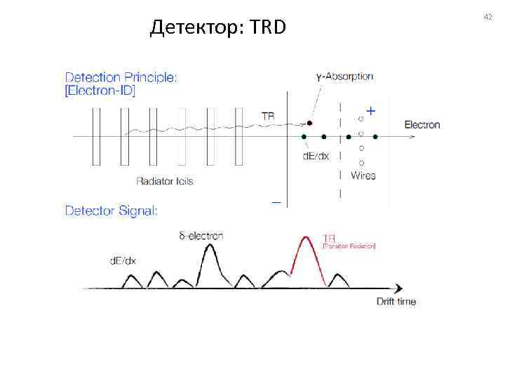 Детектор: TRD 42 